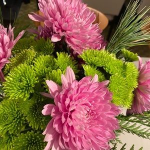 Meet your Posher, Dolma